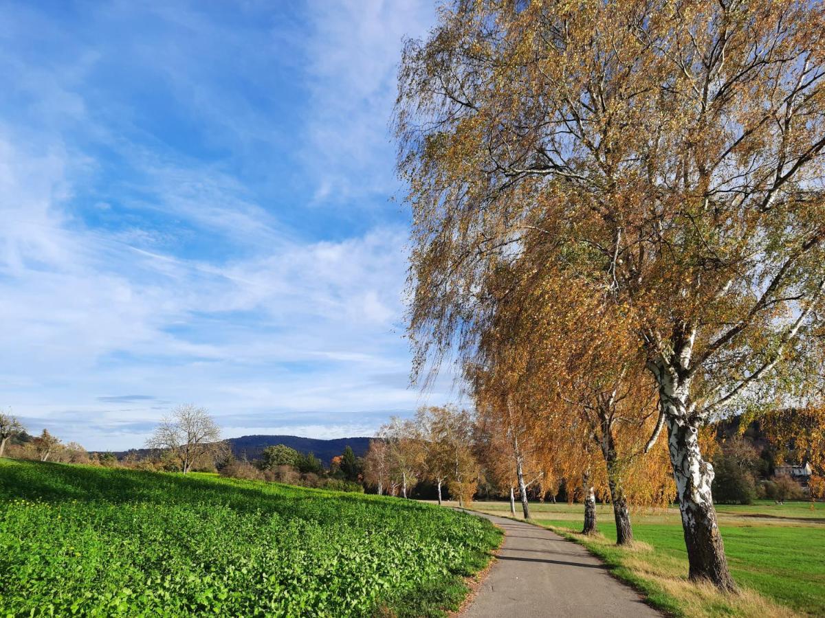 Ferienwohnung Odenwaldflair Reichelsheim Buitenkant foto