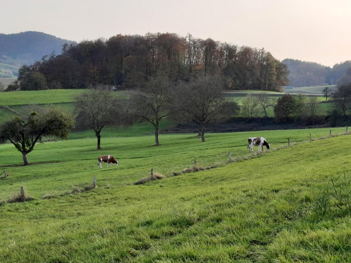 Ferienwohnung Odenwaldflair Reichelsheim Buitenkant foto