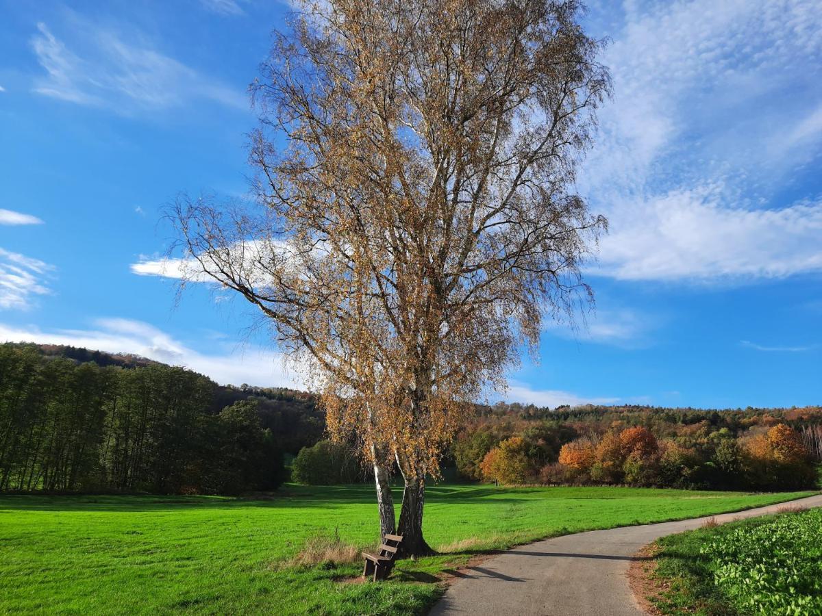 Ferienwohnung Odenwaldflair Reichelsheim Buitenkant foto